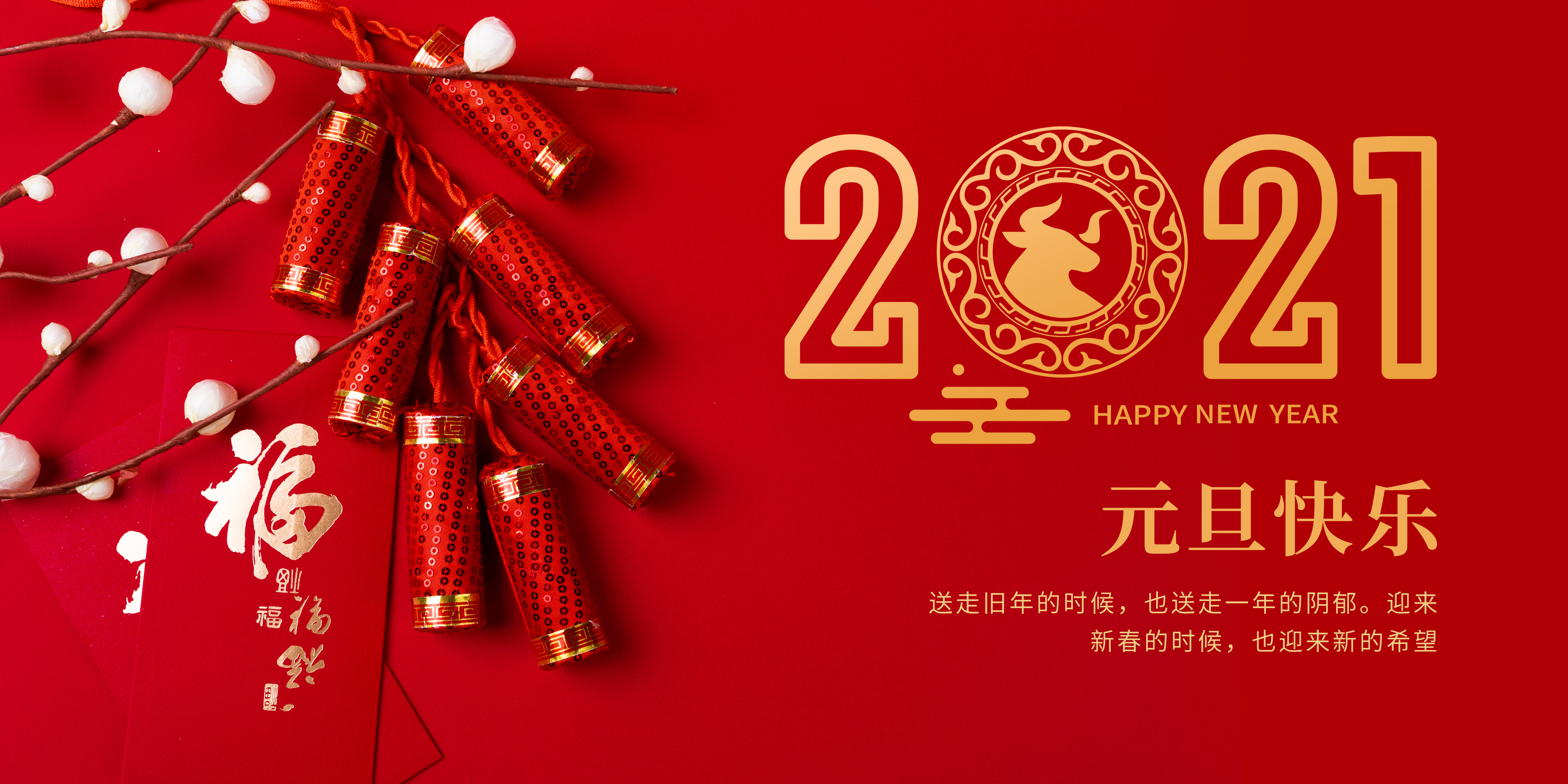 Celebrate New Year
